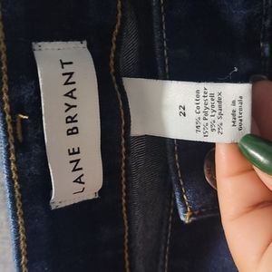 Lane Bryant Jeans 22